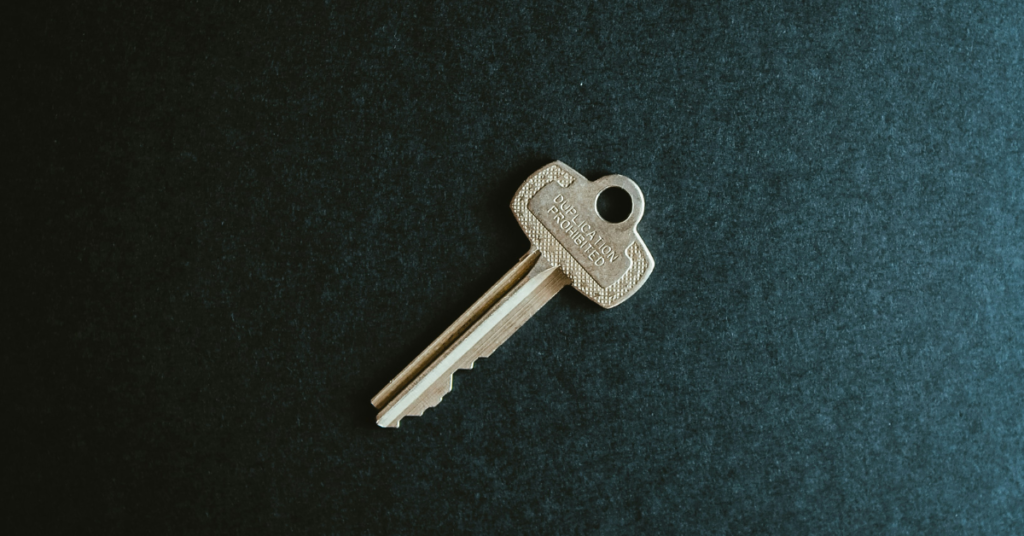 A single key on a dark blue felt background to represent the key to duplicate Silicon Valley's success is experienced leadership. 